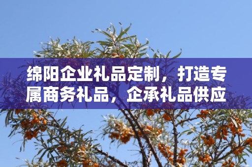 绵阳企业礼品定制，打造专属商务礼品，企承礼品供应链助力企业发展