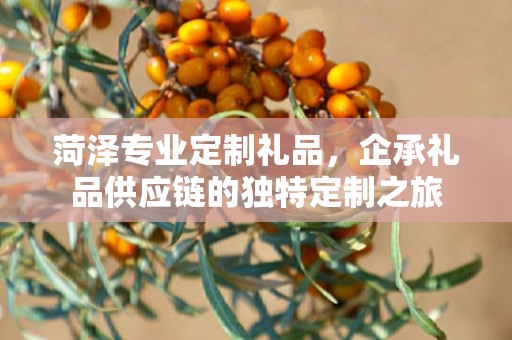 菏泽专业定制礼品，企承礼品供应链的独特定制之旅
