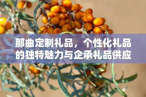 那曲定制礼品，个性化礼品的独特魅力与企承礼品供应链的专业服务