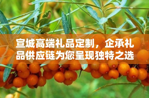 宣城高端礼品定制，企承礼品供应链为您呈现独特之选