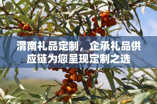 渭南礼品定制，企承礼品供应链为您呈现定制之选